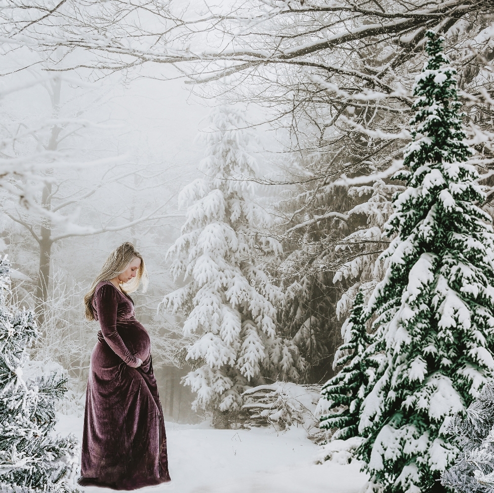 Baltic Born Velvet Wrap Dress